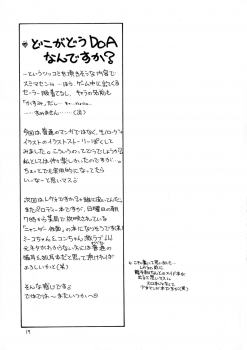 (CR30) [Dotechin Tengoku (Ryuuki Yumi)] Jii (Dead or Alive) - page 17