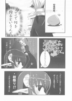 [hlz (Kitakashi Kusarinomu)] Kenshin kudasai ? (Ragnarok Online) - page 5