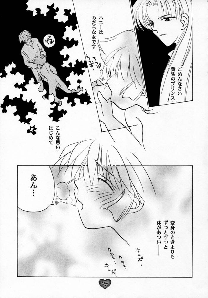 (CR21) [Rocket Kyoudai (Various)] HONEY FLASH (Cutey Honey, Mega Man) page 24 full