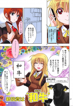 (COMIC1☆15) [PLUM (Kanna)] Magical SEED BBQ (Mahou Shoujo Lyrical Nanoha) - page 6