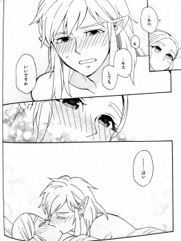 (ALL STAR 9) [CURSOR (Satou)] Ashita no Watashi-tachi (The Legend of Zelda) - page 49