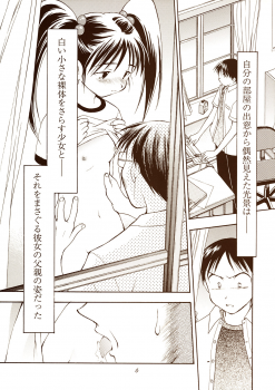 (C60) [Nihon Waru Waru Doumei, Eyes Of Dragon (Arima Keitarou, Ryuuga)] Twin Tails - page 6