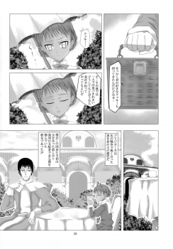 (C76) [Evork Festa (Drain, Inoue Nanaki)] Suntan Girl 14 - page 24