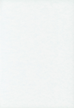 (C70) [Velvet Rose (Misaki Ren)] Ichigo Syrup (Bleach) - page 21