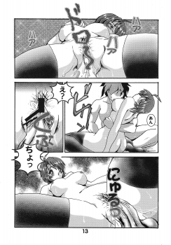 (C68) [Studio BOXER (Shima Takashi, Taka)] HOHETO 31 (Gundam SEED DESTINY) - page 12