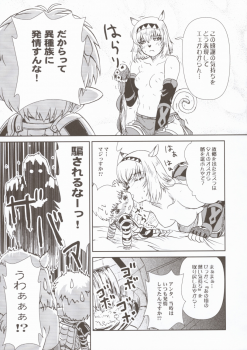 (C67) [Circle Credit (Akikan, Muichimon, Benjamin)] Panic (Final Fantasy XI) - page 10