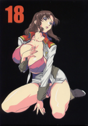 (C64) [studio C-TAKE (Miura Takehiro)] GUNYOU MIKAN vol.18 (Mobile Suit Gundam SEED)