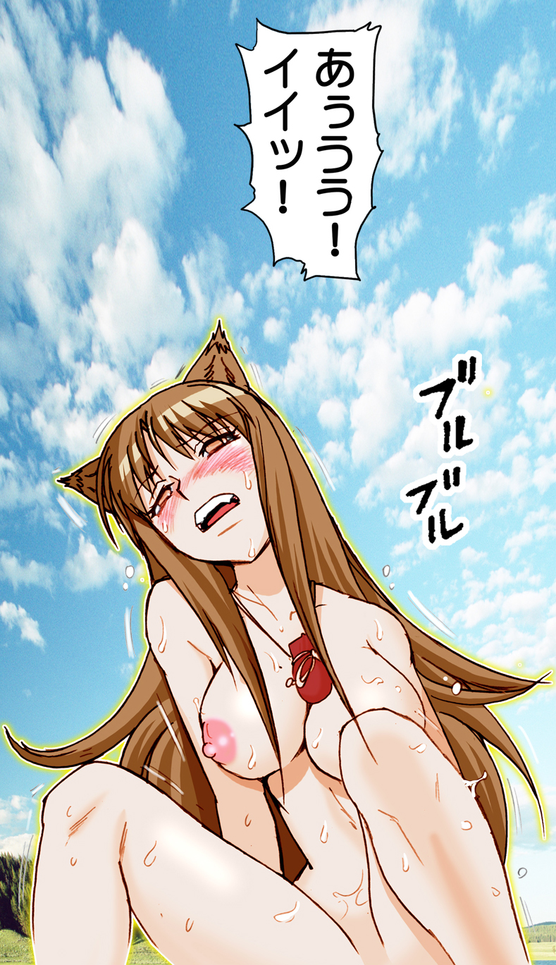 (SC38) [Raijinkai (Harukigenia)] Wolf Road (Ookami to Koushinryou [Spice and Wolf]) [Colorized] page 93 full