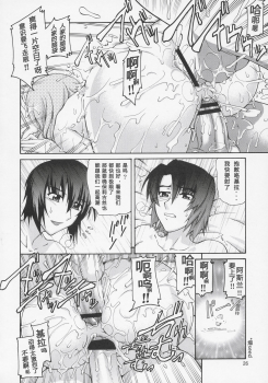 (C69) [Gold Rush (Suzuki Address)] Thank You! Lacus End (Gundam SEED DESTINY) [Chinese] [graviton个人汉化] - page 25