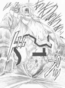 [AXZ (Shinobu Akira)] Angel's stroke 57 Infinite Laura! (IS <Infinite Stratos>) - page 17