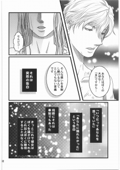 [Bisyoku Hyaka] Ibara no Kanmuri (BERSERK) - page 11