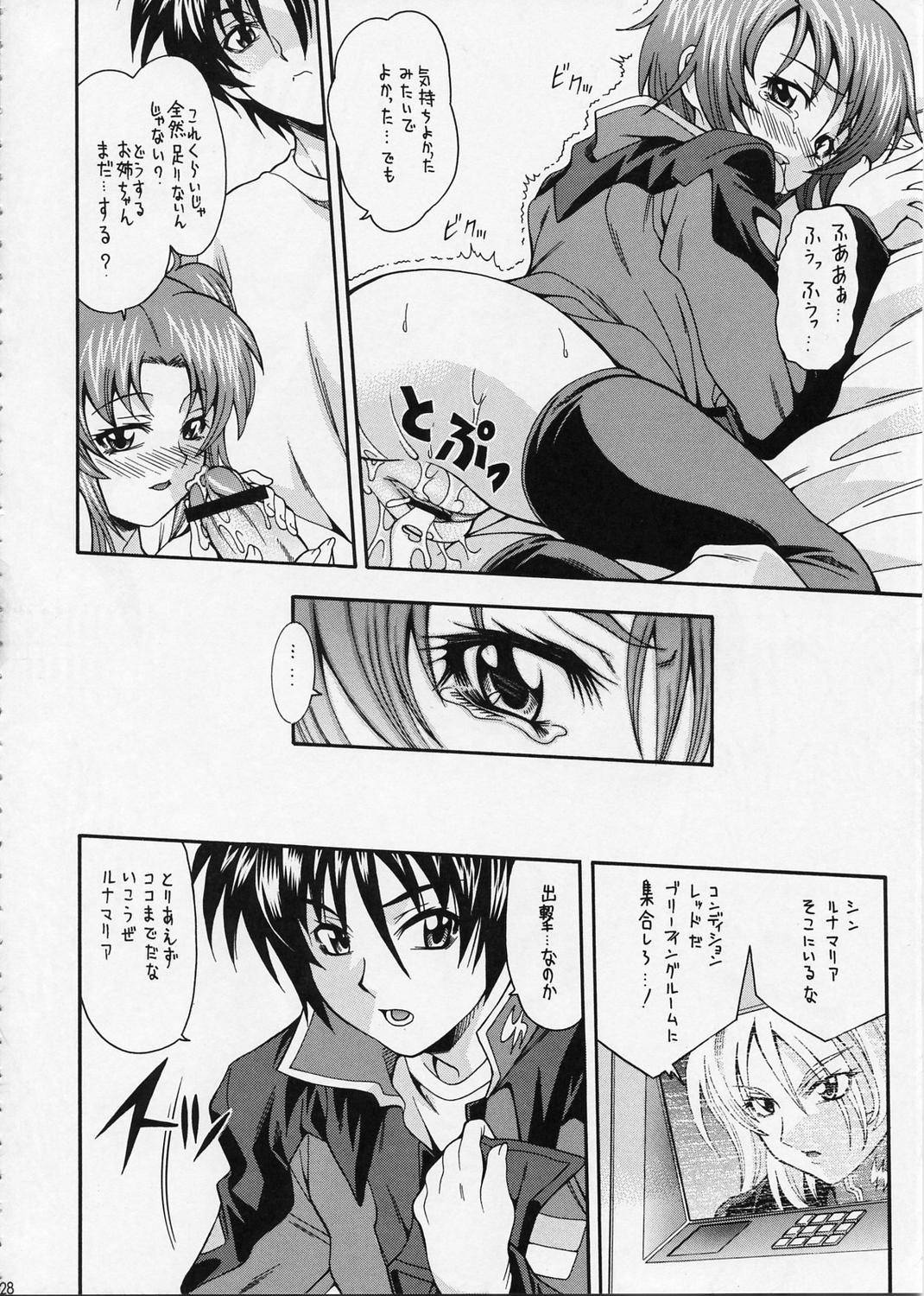 (C67) [K2 Tomo no Kai (Mizuki)] Gandesu (Gundam Seed Destiny) page 28 full