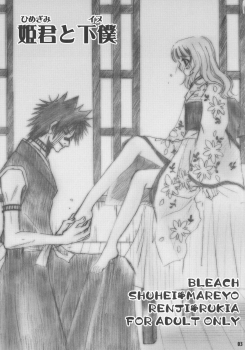 (C70) [SAKURAEN (Suzume, Okada Reimi)] Himegimi to Inu (Bleach) - page 2