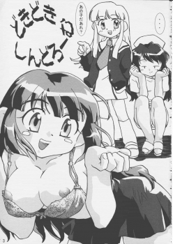(C55) [Hotateya (James Hotate)] Doki * 2 Syndrome 1998 Win (Super Doll Licca-chan) - page 2