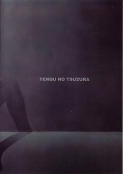(C78) [Tengu no Tsuzura (Kuro Tengu)] Wanna Try? (Neon Genesis Evangelion) [English] - page 2