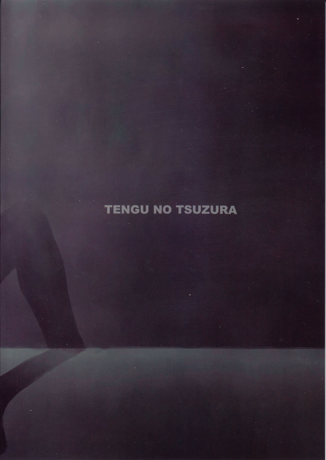 (C78) [Tengu no Tsuzura (Kuro Tengu)] Wanna Try? (Neon Genesis Evangelion) [English] page 2 full
