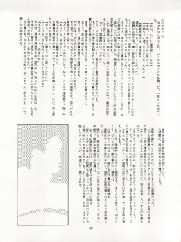 [Ryuukisha (Various)] LUNATIC ASYLUM DYNAMIC SUMMER (Bishoujo Senshi Sailor Moon) - page 37