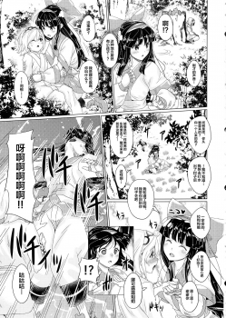 (C92) [Chill-Out (Fukami Naoyuki)] Kougyaku Ni Otsuru Miko (Samurai Spirits) [Chinese] [不咕鸟汉化组] - page 4