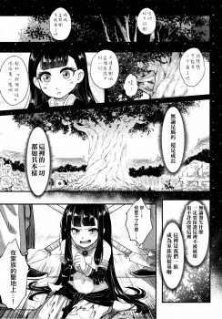 [Heiqing Langjun] Eisei no Gyou Kouhen (Towako8) [Chinese] [沒有漢化] - page 10