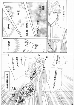 [Bisyoku Hyaka] Ibara no Kanmuri (BERSERK) - page 29