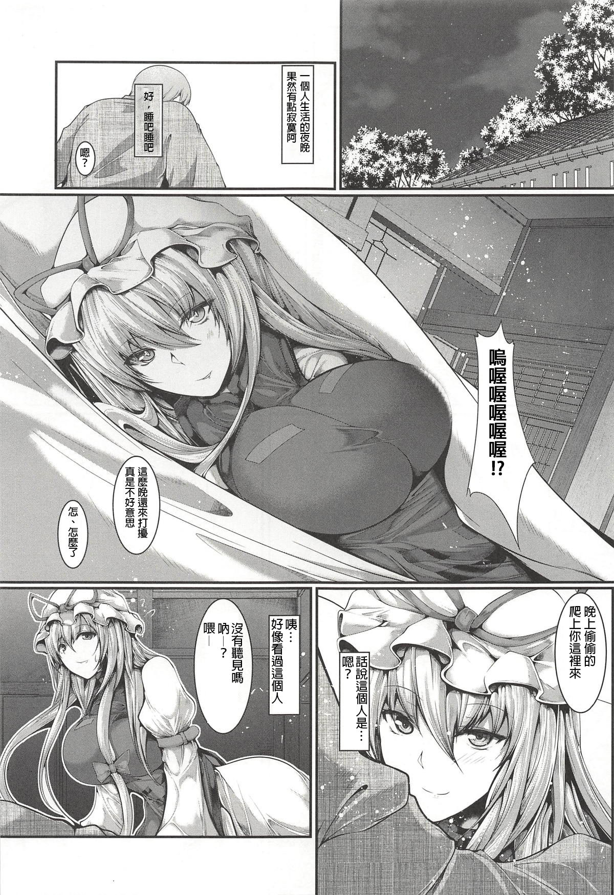 (Reitaisai 15) [CausCiant (Yamaiso)] Yukari-sama ga Iru (Touhou Project) [Chinese] [布魯斯個人漢化] page 5 full