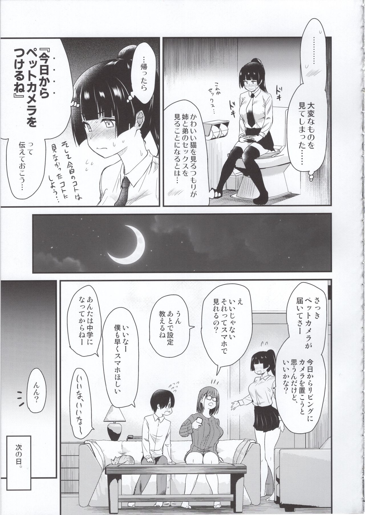 (COMITIA131) [Shin Hijiridou Honpo (Hijiri Tsukasa)] Pet Mimamori Camera ni Ane to Otouto no Sex ga Utsutteta. page 16 full