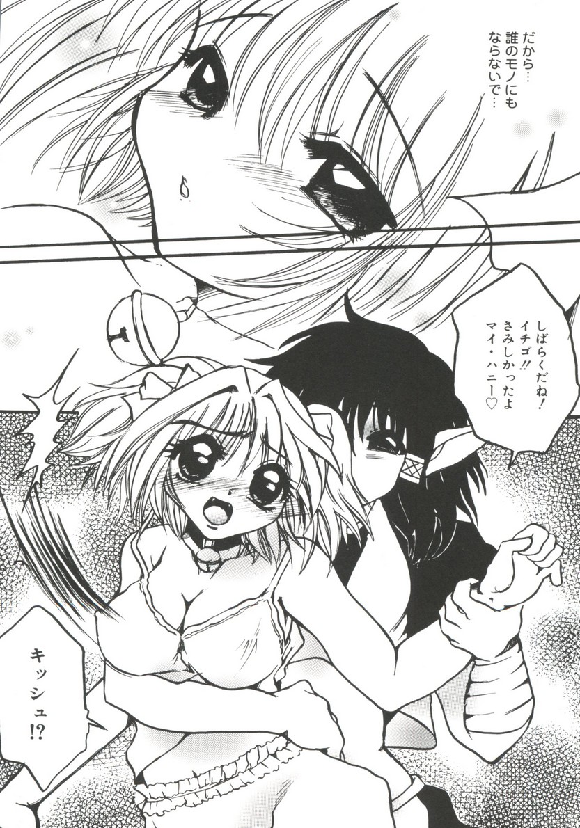 [doujinshi anthology] Moe Chara Zensho Vol.  2 (Kasumin, Pretty Sammy, Card Captor Sakura, Tokyo Mew Mew) page 5 full