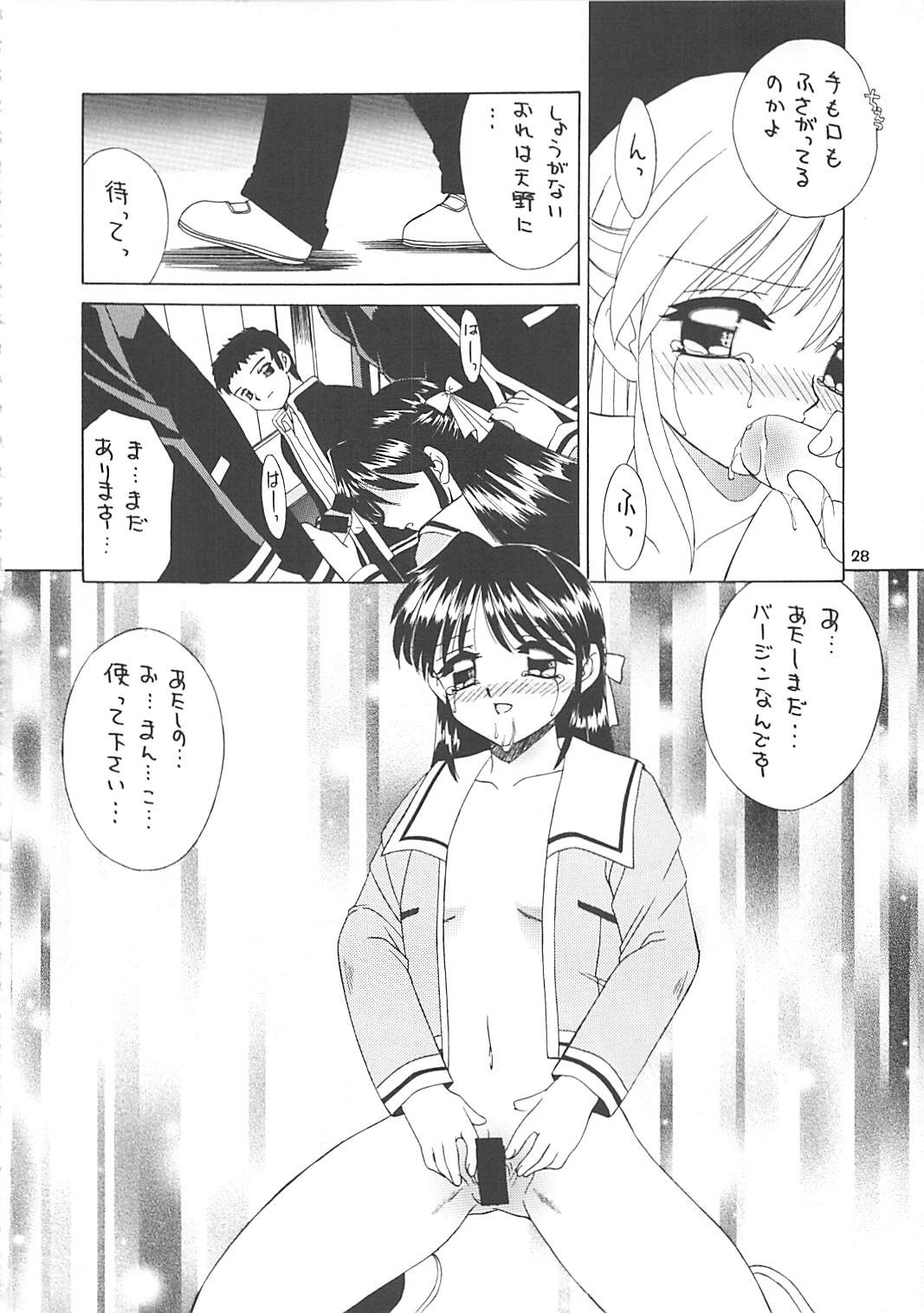 (C61) (同人誌) [京葉津田沼塾] 隷嬢志願6 page 27 full