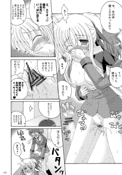 [Dream Project (Yumeno Shiya)] Lyrical Magical Ecchi na Fate-san wa Suki? 3 (Mahou Shoujo Lyrical Nanoha) - page 11