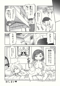 (C78) [Dedepoppo (Ebifly, Neriwasabi)] Fuwa Fuwa (Final Fantasy XI) - page 22