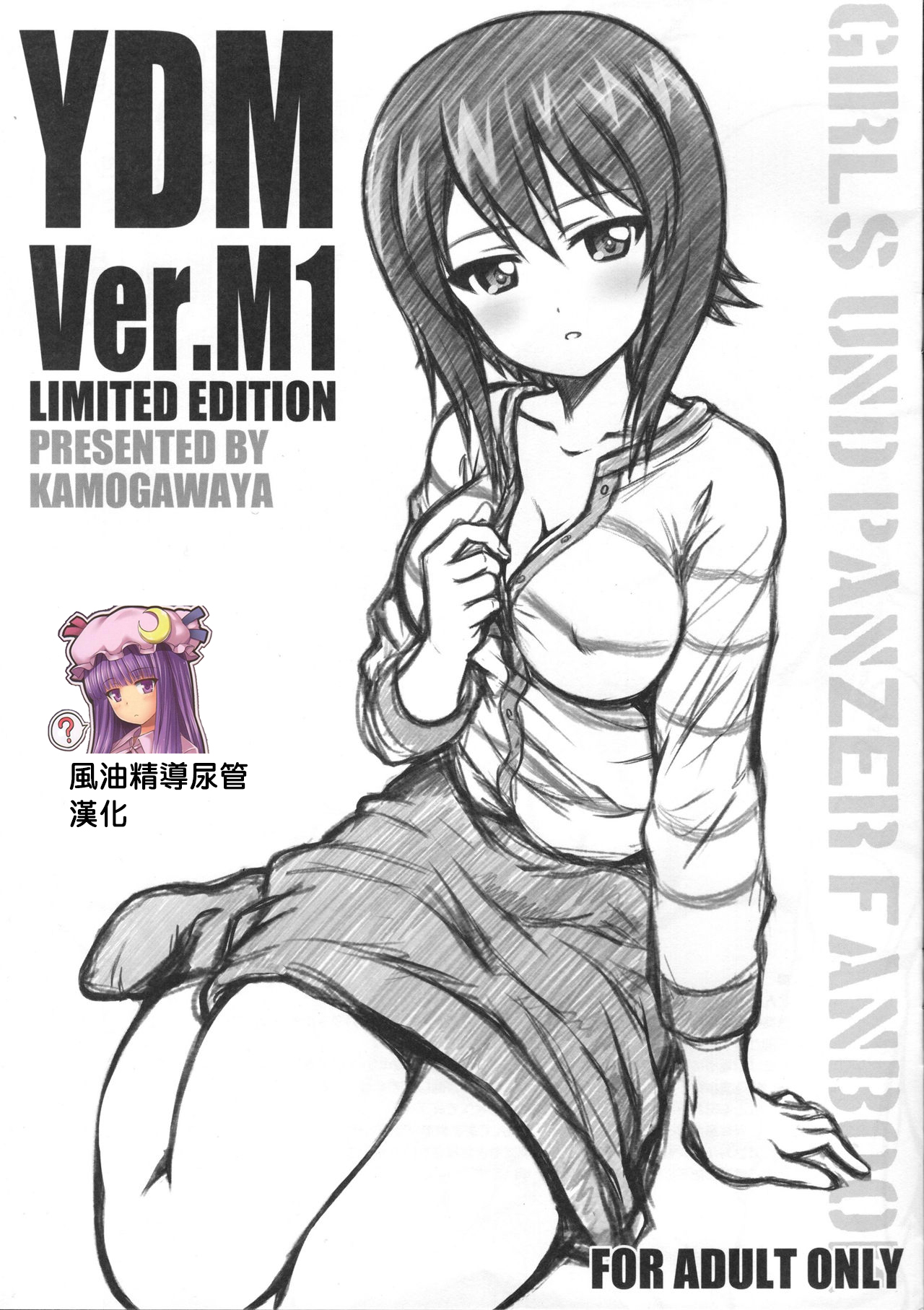 (C93) [Kamogawaya (Kamogawa Tanuki)] YDM ver.M1 (Girls und Panzer) [Chinese] [風油精導尿管漢化] page 1 full