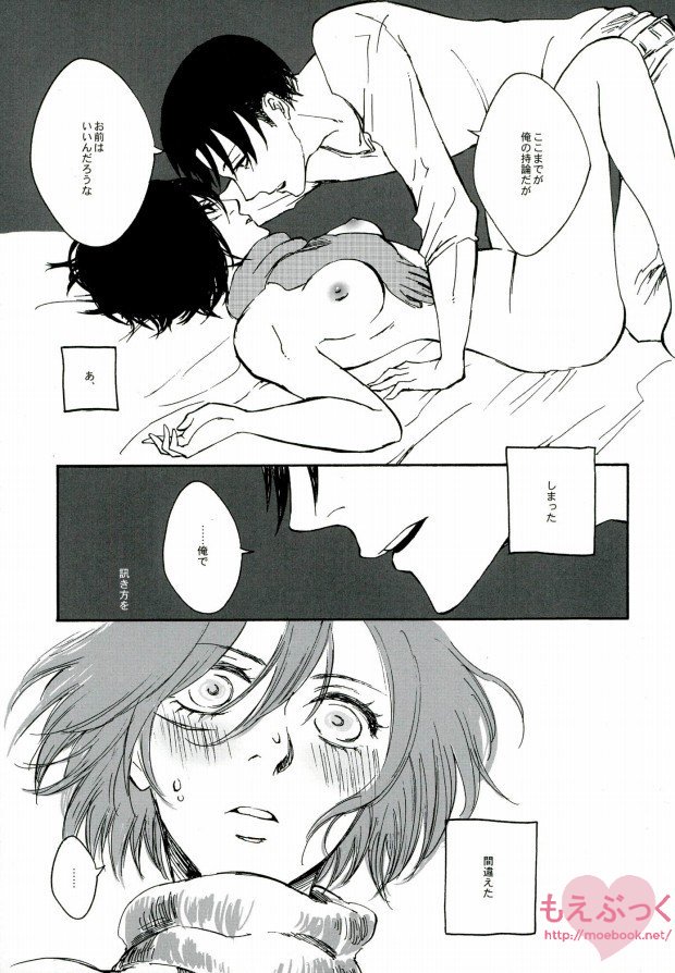 (SUPERKansai19) [QuintalLagosta (ebgr)] Kuro no Ookami Gin no Ookami (Shingeki no Kyojin) page 16 full