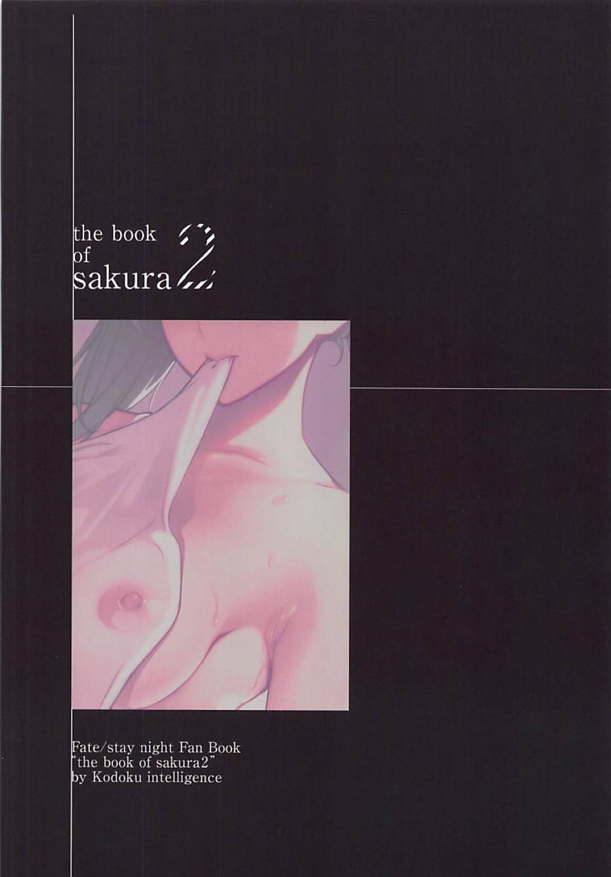 (C94) [Kodoku intelligence (Nanao)] THE BOOK OF SAKURA 2 (Fate/stay night) [English] [SquigglesJP] page 17 full
