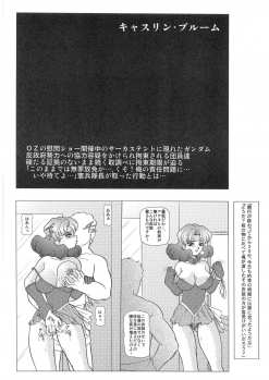 [Dakimakuma, Jingai Makyou Club (WING☆BIRD)] CHARA EMU W☆B010 GONDAM 008 ZZ-W-F91 (Various) - page 23