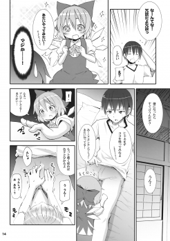 (SC45) [Nounai Kanojo (Kishiri Toworu)] Cirno ga Ouchi ni Yattekita! (Touhou Project) - page 14