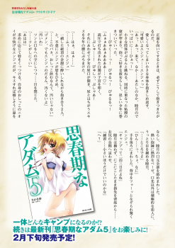 Shishunki na Adam Choi Netabare Guidebook (a bit spoilerish guidebook) - page 29