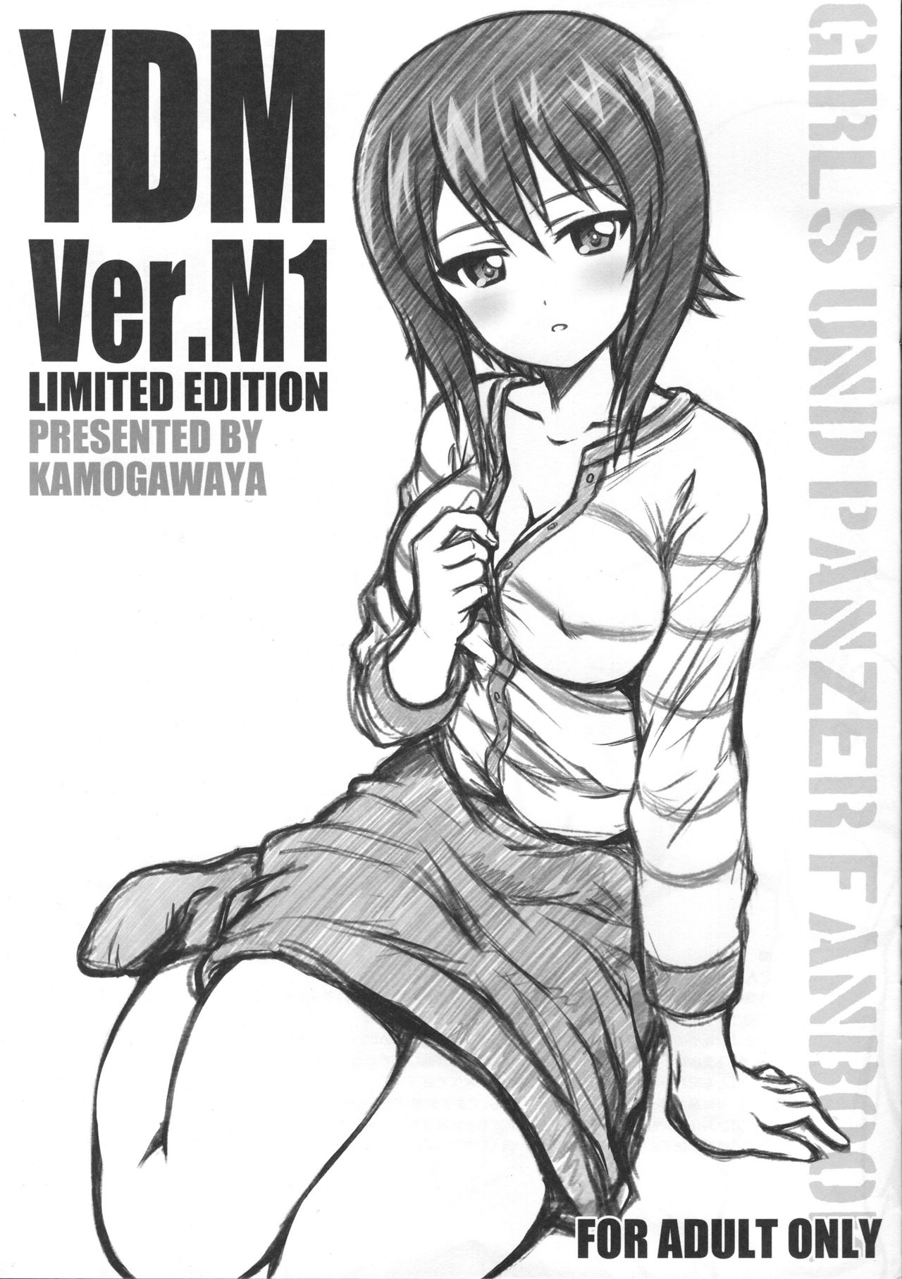 (C93) [Kamogawaya (Kamogawa Tanuki)] YDM ver.M1 (Girls und Panzer) [Chinese] [風油精導尿管漢化] page 2 full