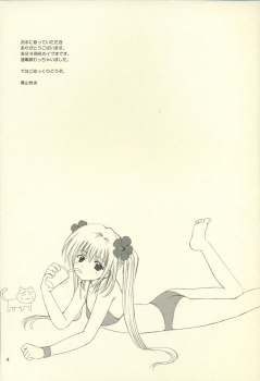 (C66) [Nikopondo (Aoyama Reo)] Eve like an angel Extra (Black Cat) - page 4