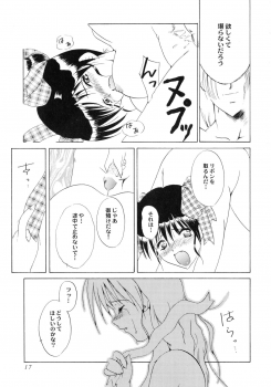 [Akai Suisei] Seijo no Utage - page 19