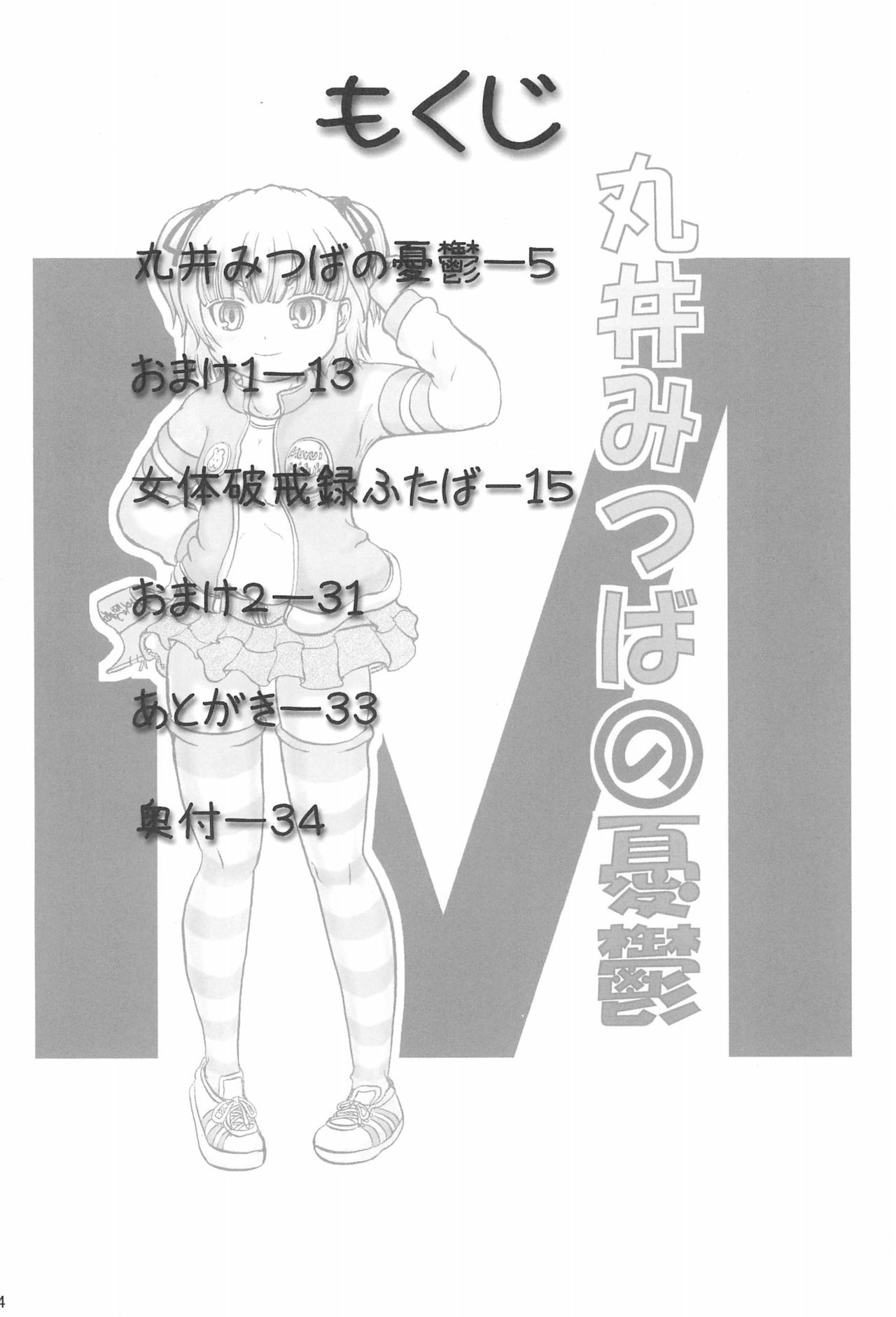 (C75) [Kyujuni (Morikawa Kuni)] Mitsugo no Susume (Mitsudomoe) page 4 full