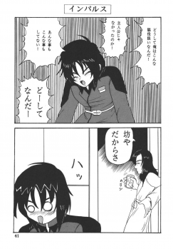[Kyapa CITY (Torai Ryuu)] Yureru Omoi (Gundam SEED DESTINY) [Digital] - page 42