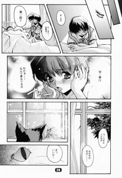 (CR29) [RYU-SEKI-DO (Nagare Hyo-go)] Geschwister II (Sister Princess) - page 27