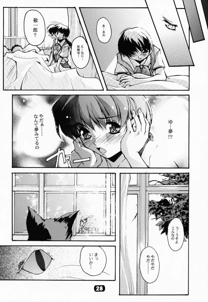 (CR29) [RYU-SEKI-DO (Nagare Hyo-go)] Geschwister II (Sister Princess) page 27 full