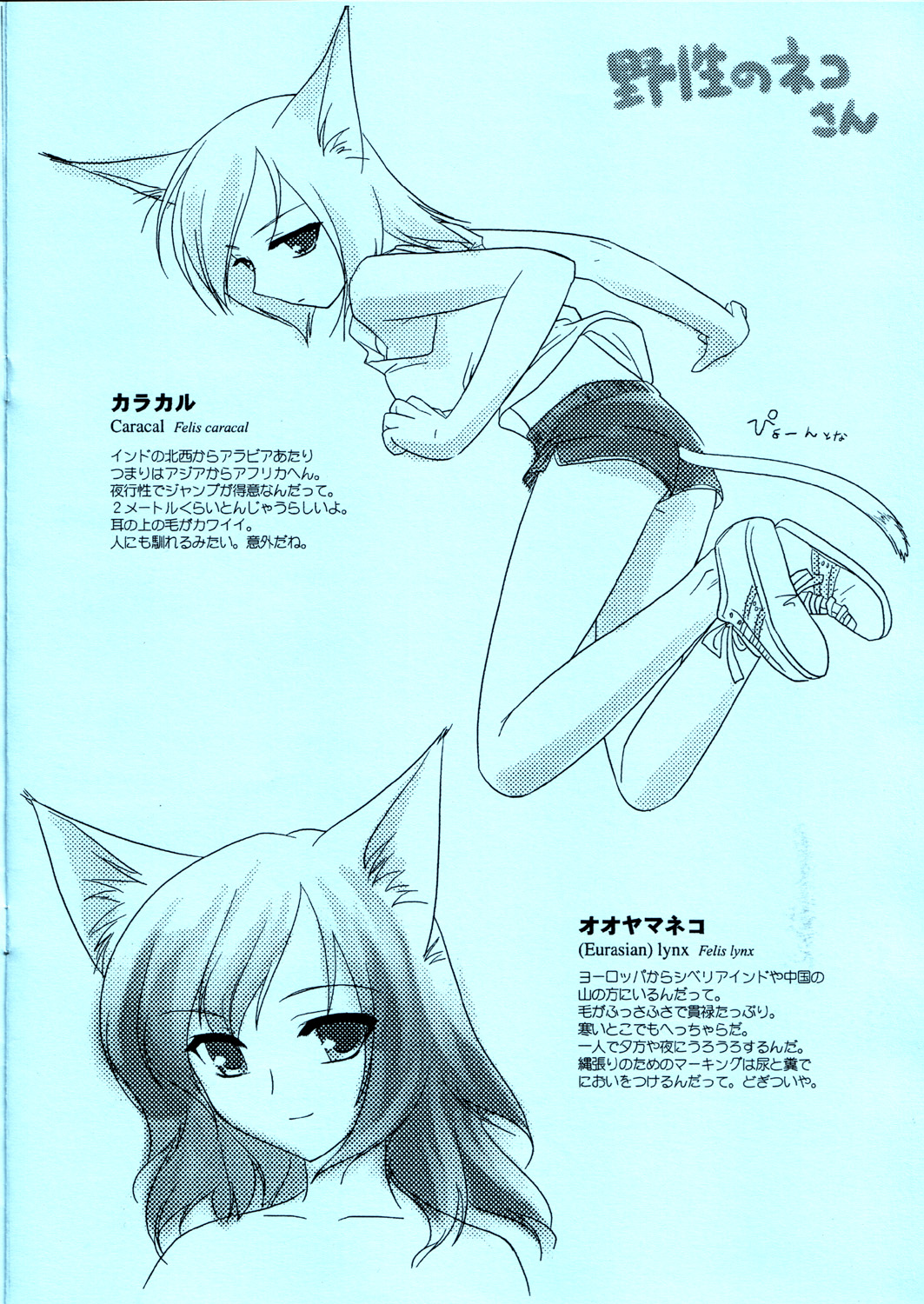 [FlavorGraphics* (Mizui Kaou)] [2003-03-16] - Feline Lovers page 7 full