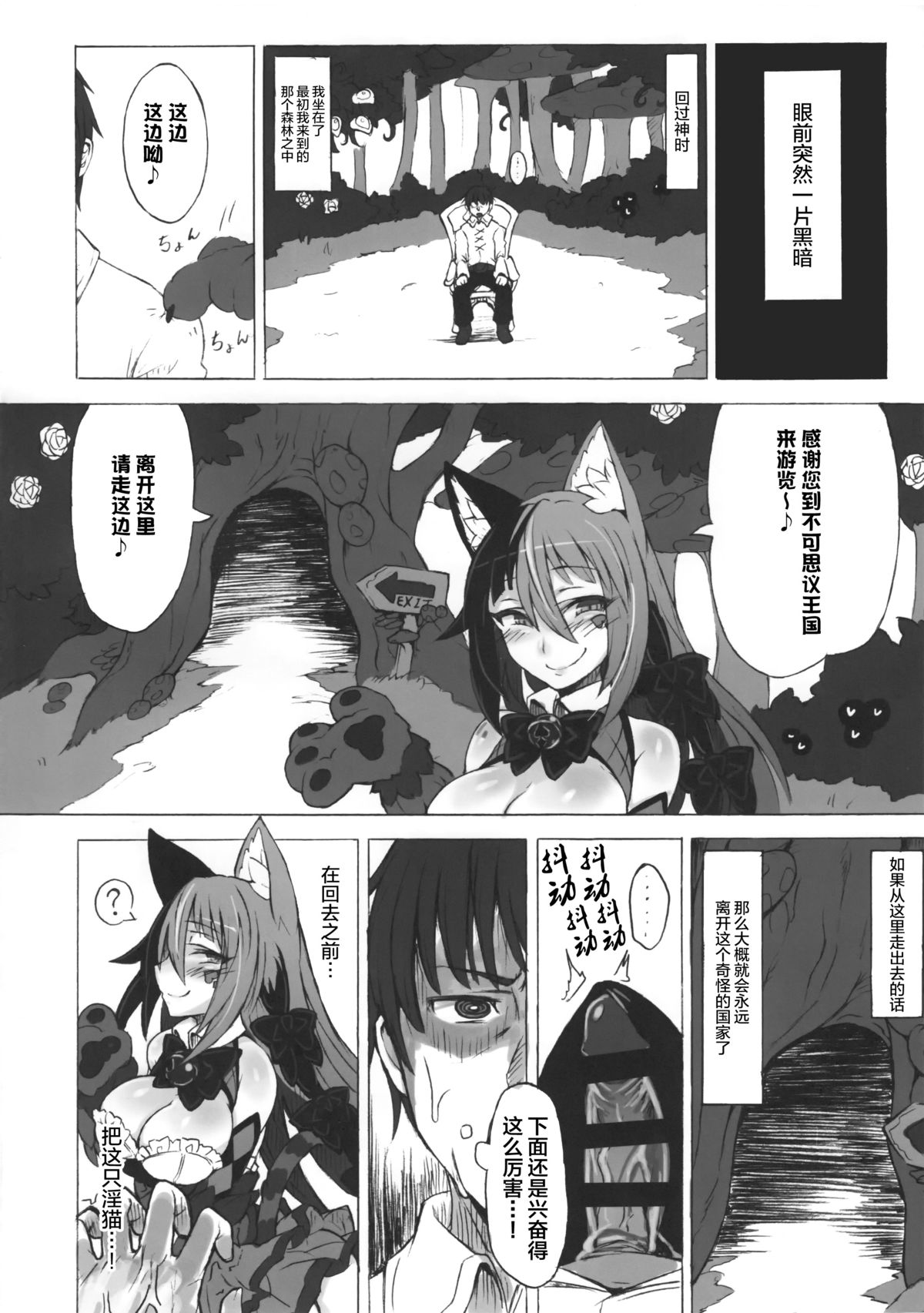 (C89) [Kurobinega (Kenkou Cross)] Mamono Musume Zukan Higai Houkoku ~Cheshire Neko no Oidemase Fushigi no Kuni~ [Chinese] [无毒汉化组] page 19 full