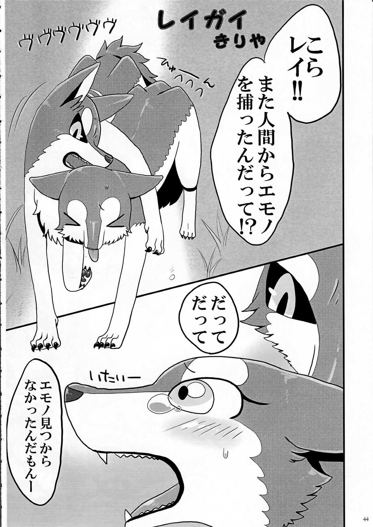 (Kansai! Kemoket 3) [KTQ48 (Various)] KTQ 7 page 44 full