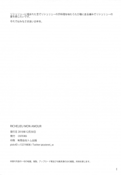 (C95) [OSTEREi] RICHELIEU MON AMOUR (Kantai Collection -KanColle-) - page 23