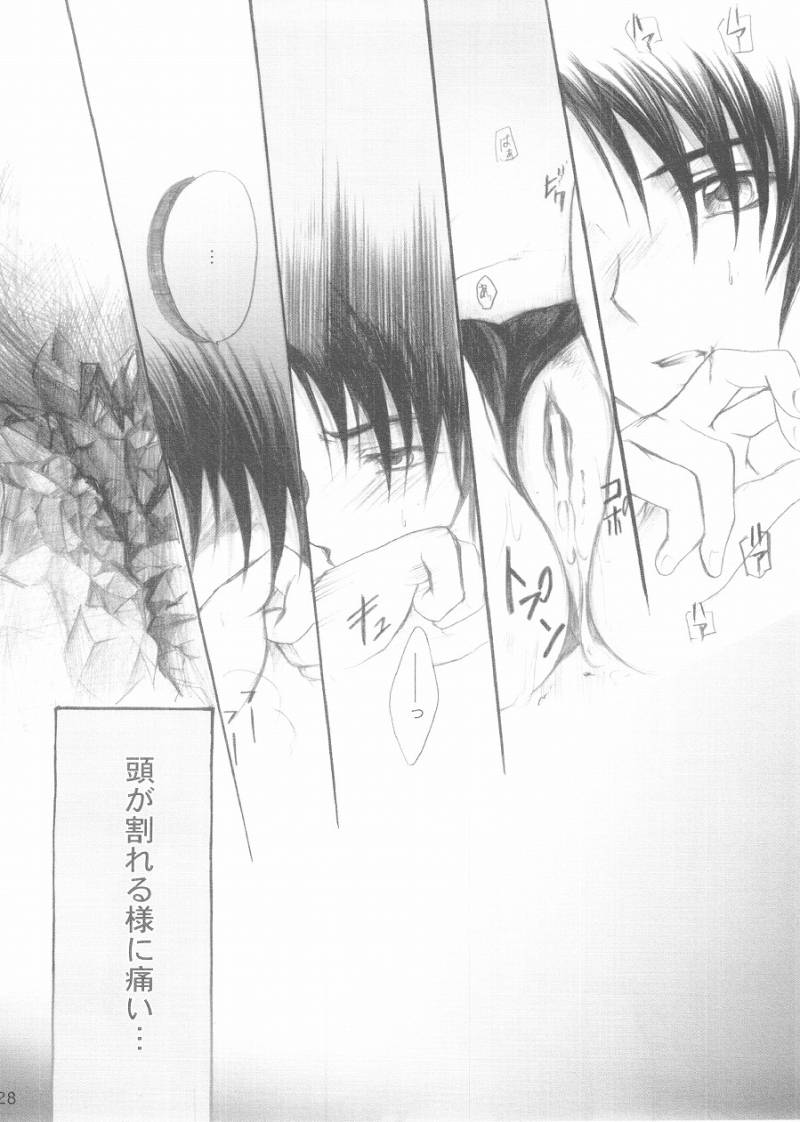 [Reongumi Kaeda Reon] Harete Koyoiha (Kidou Senshi Gundam SEED) page 26 full