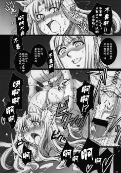 (COMIC1☆2) [H.B (B-RIVER)] Red Degeneration -DAY/3- (Fate/stay night) [Chinese] [不咕鸟汉化组] - page 21