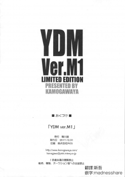 (C93) [Kamogawaya (Kamogawa Tanuki)] YDM ver.M1 (Girls und Panzer) [Chinese] [風油精導尿管漢化] - page 13